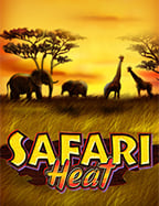 ลองเล่น ทดลอง เล่น สล็อต joker roma สุดปังจาก Jili